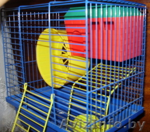 Продам клетку для хомячка - Изображение #1, Объявление #725622