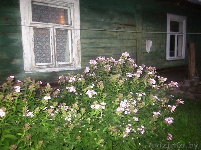 дом в экологически чистом районе - Изображение #1, Объявление #833770