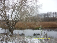 Продам дом в живописном месте - Изображение #4, Объявление #750727