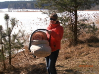 Каляска Carino 3 в 1 в идеальном состоянии  - Изображение #2, Объявление #928971