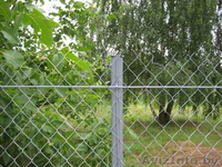 Сетка рабица!Доставка бесплатная по всей Республике Беларусь - Изображение #3, Объявление #1551879