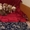 Бронь щенков американского стаффордширского терьера #1386029
