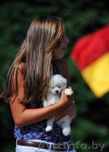 мужские и женские щенков померанского