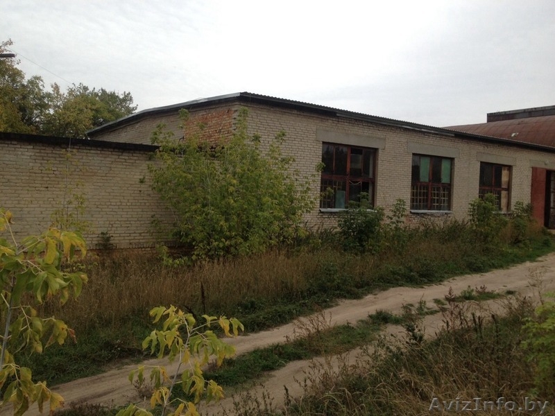 Сдам в аренду помещение 300 м кв - Изображение #2, Объявление #1339609