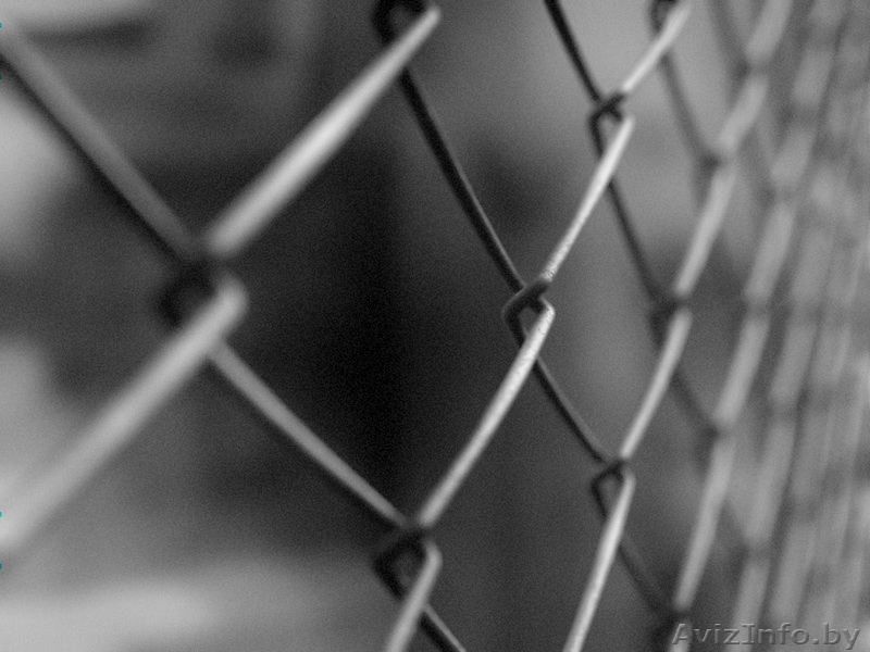 Продаем сетку-рабицу от производителя!  - Изображение #3, Объявление #1345754