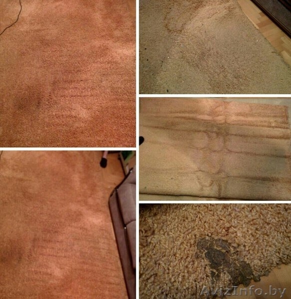 Химчистка ковров, мягкой мебели, авто Волковыск - Изображение #2, Объявление #1543403