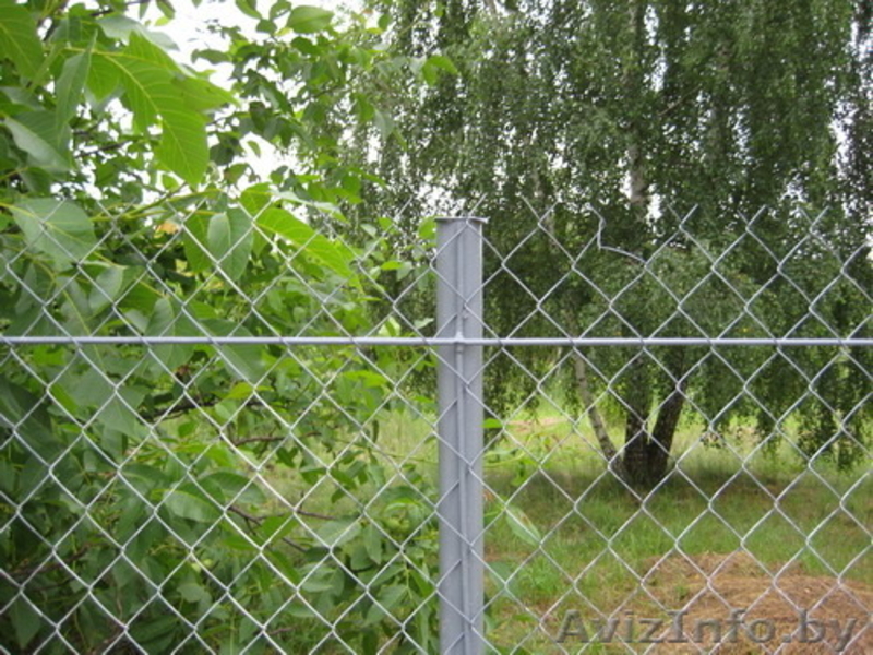 Сетка рабица!Доставка бесплатная по всей Республике Беларусь - Изображение #3, Объявление #1551879