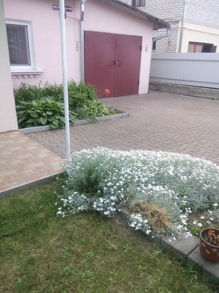 Продается трехкомнатная квартира в четырехквартирном доме - Изображение #3, Объявление #1660438